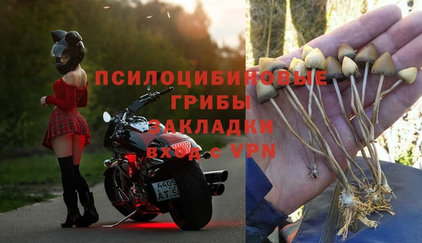 2c-b Алзамай