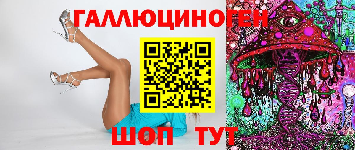 Канаш  Псилоцибиновые грибы Psilocybe  Псилоцибиновые грибы Psilocybe  хочу наркоту  Вход с VPN 